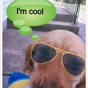 Meet your Posher, Mary